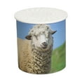 thumbnail image 2 of Juguete Para Hacer Sonidos De Ovejas, Juguete Para Hacer Sonidos De Animales, Trucos Divertidos Que Cultivan La Imaginación Imitando Para Jugar En Casa, 2 of 7