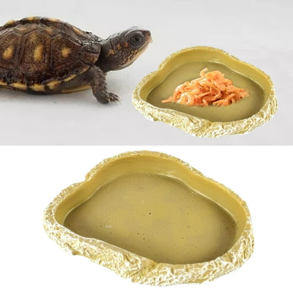 Comedero para Reptiles Colco Decoración de riego para terrario de anfibios