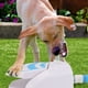 thumbnail image 4 of Paso de en la Fuente de Agua, Fuente de Agua del Pedal de Perros PlásTico Fácil de Limpieza Práctica para actividades de Al Aire Libre, 4 of 7