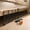 Black_Base#2069, variant on Adjustable Under Bed Blocker Guard Board for Cats, Plastic Gap Barrier for Bed, Balcony, Cabinet and Furniture Gaps