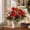 B, variant on VANLOFE 24 Piece Artificial Christmas Flowers, Poinsettia and Breath Set, Red and White Floral Arranging for a Christmas Gift and Holiday Centerpiece, Plastic Blooms with Berry Details