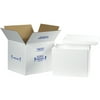 Insulated Shipping Kits, 13 3/4 x 11 3/4 x 11 7/8, Wt, 1/CA (238C)