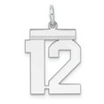 thumbnail image 1 of White Sterling Silver Charm Pendant 12 21 mm 16 Rhodium-Plated Medium Polished Number, 1 of 2