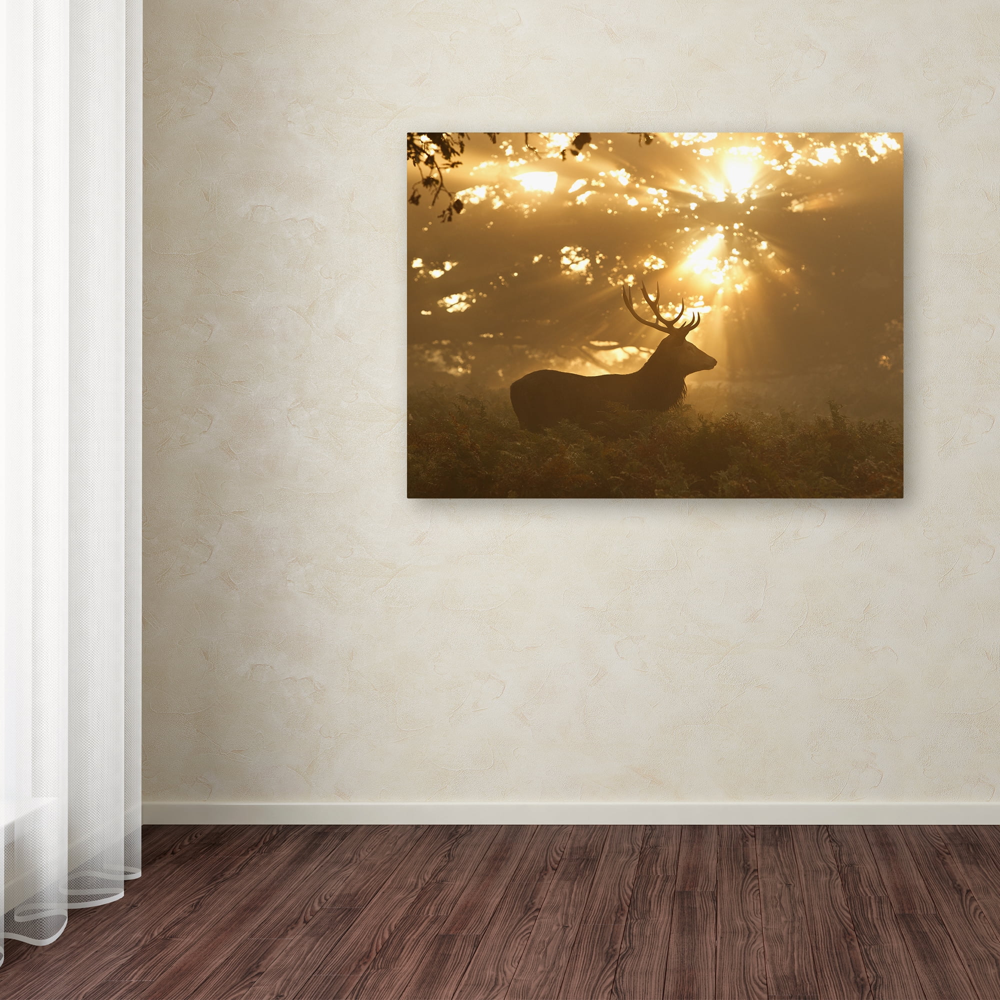 Trademark Fine Art 'Ghost Of The Forest' Canvas Art by Greg Morgan