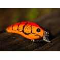 thumbnail image 4 of 6th Sense – Swank Series Squarebill Crankbait Bass Fishing Lure, Shallow Power Cranking, 4 of 5