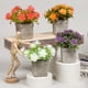 thumbnail image 5 of Decoración hogareña Planta artificial de Gwong con la olla de flores que atrapa el arreglo de flores de boda de plástico para el hogar Gwong 21081097, 5 of 6