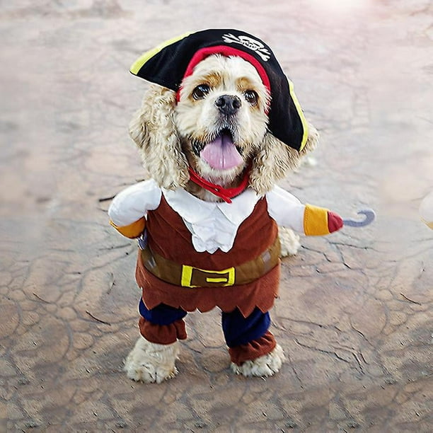 Dog dressed as pirate deals