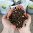 thumbnail image 4 of Indoor Herb Planter Potting Mix (2 Quarts), Culinary Herb Potting Soil Mix for Container Gardening, 4 of 10