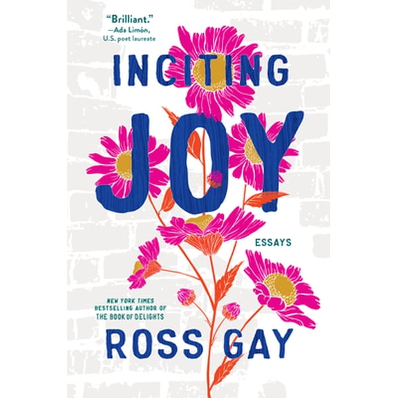 Pre-Owned Inciting Joy: Essays (Hardcover) 1643753045 9781643753041