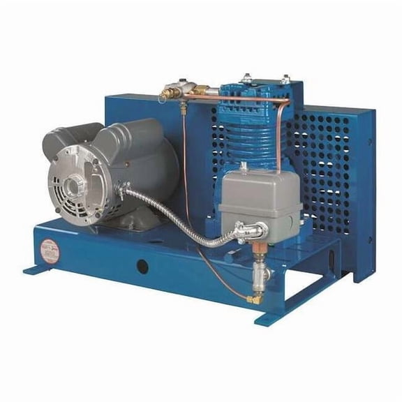 Jenny Fire Sprinkler Air Compressor,1/2 HP F12S-BS-115/1-ACGF