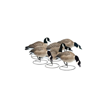 - FINAL APPROACH Field Lessers 474174FA Decoy Flawless Anatomy 6 Pack