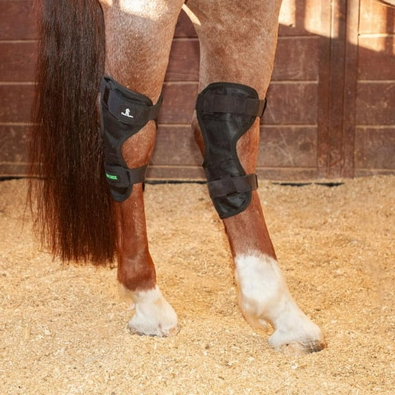 classic equine magntx hockwrap