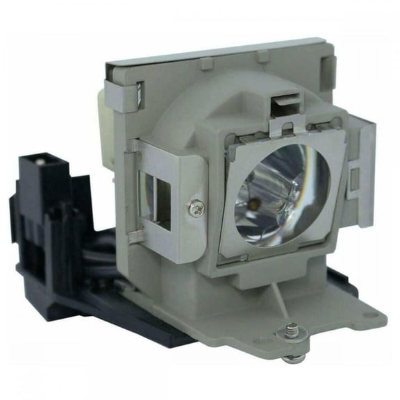 Premium Power Products Replacement Projector Lamp Replaces BenQ 5J-06001-001 OEM FP, 100% Compatible, 1 Count