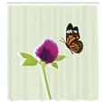 thumbnail image 2 of Ambesonne Butterfly Shower Curtain, Flower Winged Animal Art, 69"Wx70"L, Pastel Green Dark Magenta, 2 of 4