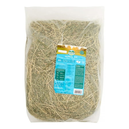 Alfalfa Hay Bale - Oxbow Alfalfa Hay Small Animal Food, 9 lbs.