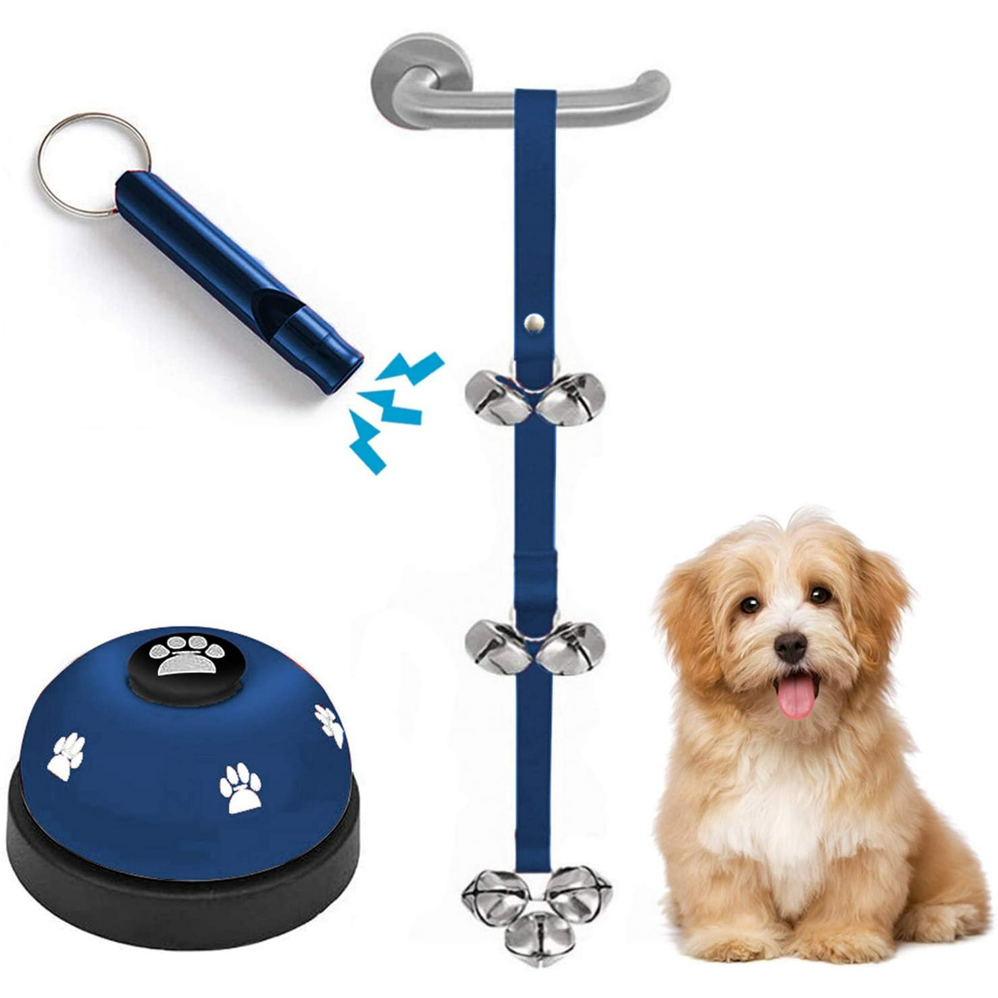 How To Train A Dog To Go To The Toilet