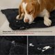 thumbnail image 4 of Cama para perros pequeños, resistente a la masticación, color negro, 60 x 43 cm, 4 of 9