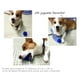 thumbnail image 5 of Pelota de Juguete para Perros Pequeños y Medianos Resistente a Mordeduras de Pelota Puntiaguda Azul, 5 of 9