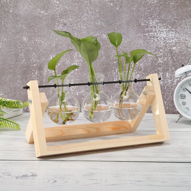 Florero de vidrio transparente Marco de madera Terrario Escritorio Bonsai Decoración de mesa (C) Ndcxsfigh Nuevos Originales