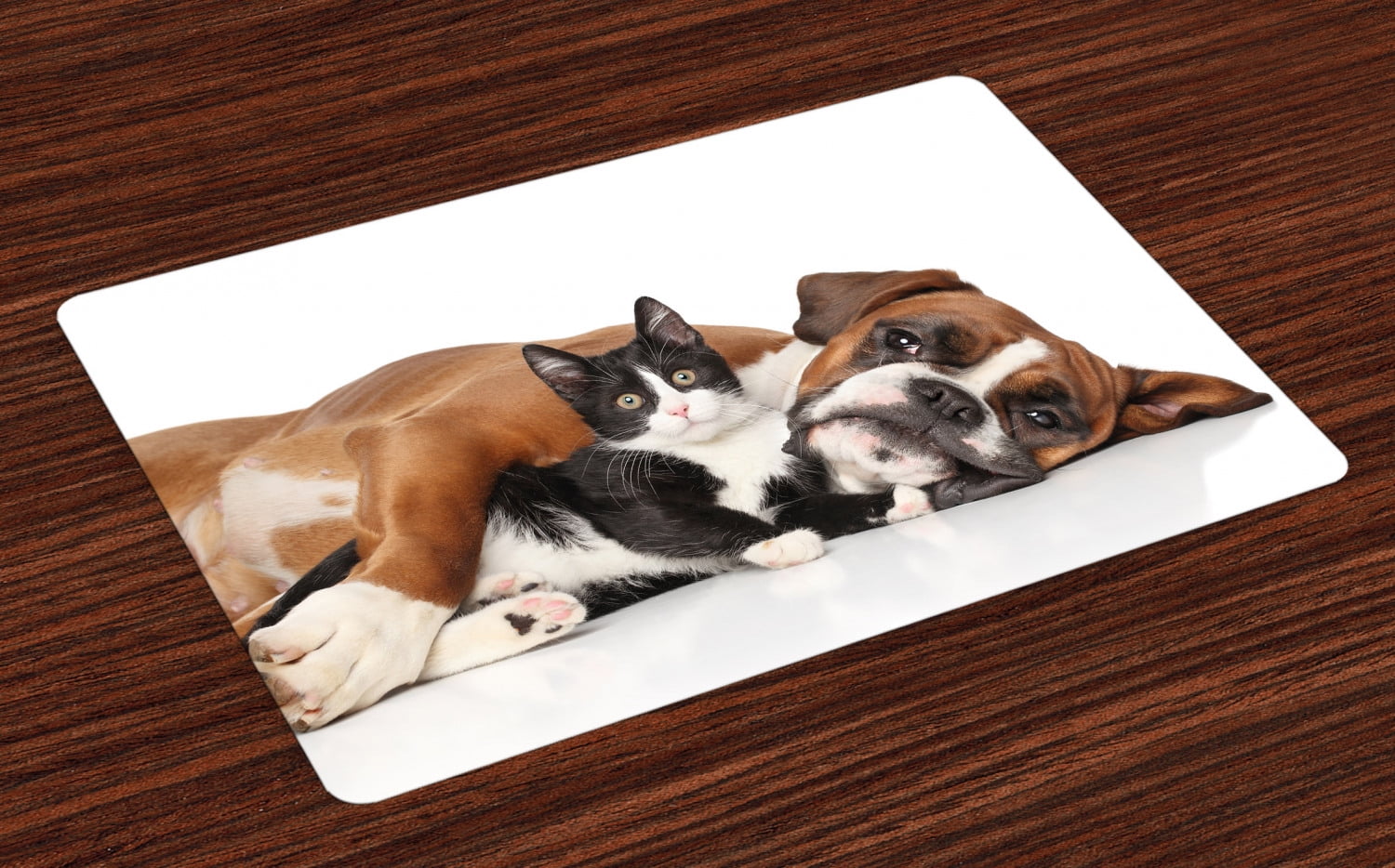 Funny Placemats Set of 4 Cat and Dog Cuddling Lying on Floor Friendship Theme Cute Animals