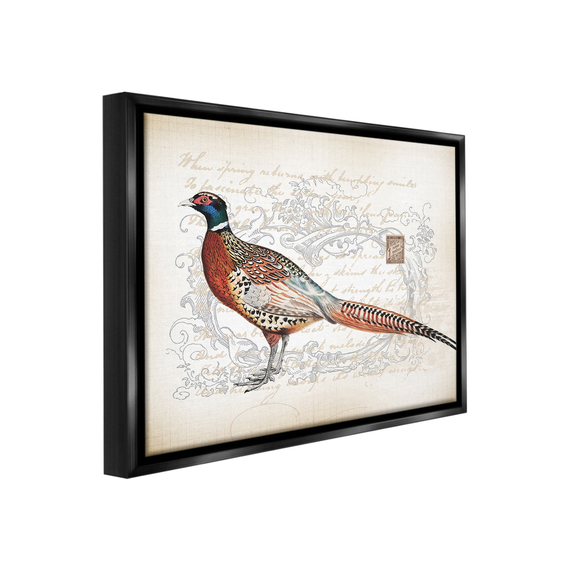 Stupell Industries Pheasant & Vintage Pattern Animals & Insects Painting Black Floater Framed Canvas Art Print Wall Art, 31 x 25