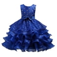 thumbnail image 1 of Big Girl Sleeveless Tulle Dress Kids Ruffles Lace Party Wedding Tutu Dresses 3-15T, 1 of 7