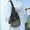 Green, variant on uublik Mens Canvas Sling Bag Small Crossbody Backpack Hiking Daypack Rucksack For Men Women Outdoor Cycling Travel, Black