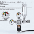 thumbnail image 3 of ZRDR Dix Mille Plombs de Décompression table de Dioxyde de Carbone Compteur de Bulles Inversées co2 Grande double table de Réduction de Pression Électrovanne Petite table Unique, 3 of 7
