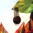 thumbnail image 1 of OUNONA Turtle Box Thermometer Accurate Wet Thermometer with Clear Numbers for Reptile Boxes, 1 of 8