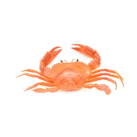 Crab, Orange, Saltwater, Squeakee, Rubber, Crustacean Design, Educational, Hand Painted, Figure, Lifelike, Model, Replica, Gift 8" F1680 B98