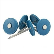 Noise Grabber 2" Cap Nails with Washers 50 Pack