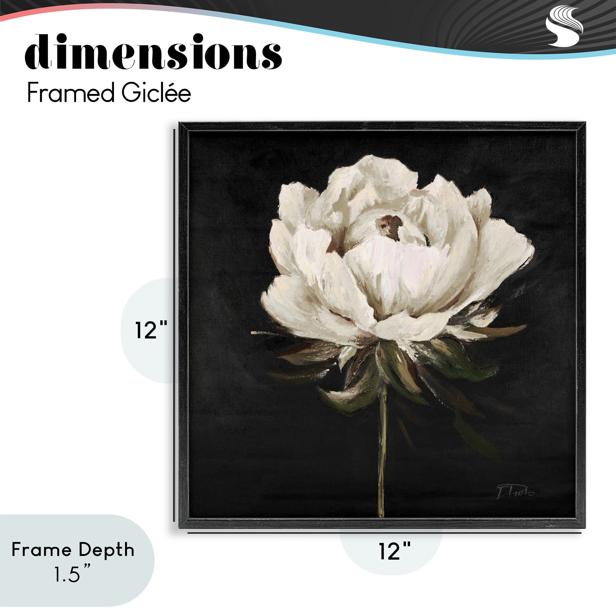 Stupell Industries Pretty Delicate Bloom on Black Black Framed Giclee Art, design by Patricia Pinto