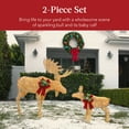 thumbnail image 3 of Best Choice Products 2-Piece Moose Family Lighted Christmas Yard Decor Set w/ 170 LED Lights, Stakes, Zip Ties - Gold, 3 of 8