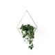 thumbnail image 1 of Maceta colgante Umbra Trigg para decoración de pared, maceta y recipiente para suculentas, cactus, plantas artificiales y más, grande, color blanco/níquel, 1 of 7
