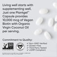 thumbnail image 4 of Cápsulas blandas de 10 000 mcg de biotina vegana Supplement Sports Research, 4 of 9