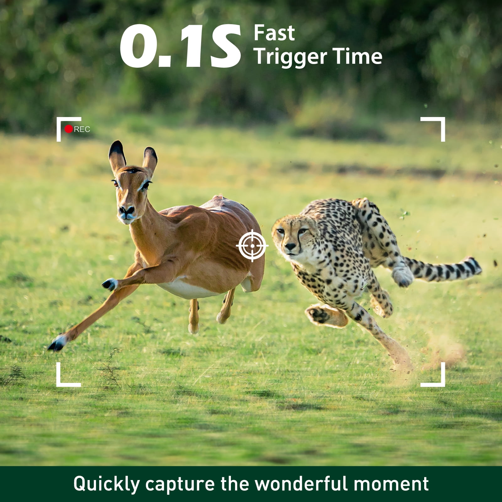 CAMPARK Trail Camera 4K HD 40MP Hunting Game Camera with Infrared Night Vision Motion Activated Waterproof IP66 Time-Lapse 2.0" Trail Deer Cam for Outdoor Wildlife Monitoring