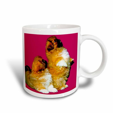 Pekingese Porcelain - 3dRose Pekingese, Ceramic Mug, 11-ounce