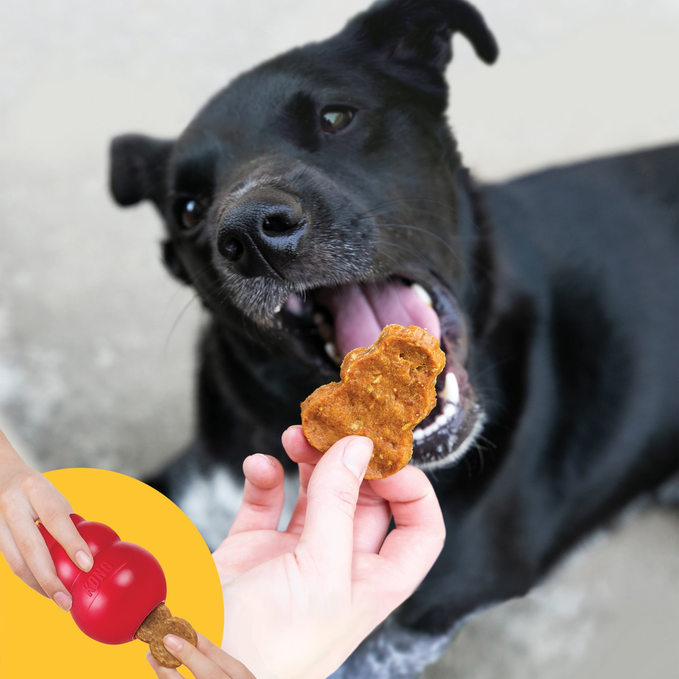 KONG® Jerky Grain Free Dog Treats, Premium Biscuit, Chicken, Medium/Large