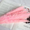 thumbnail image 2 of 30PCS Pampas Grass, 17.7" Small Dried Pampas Grass Decor Pompass Grass Branches for Boho Home Wedding Flower Arrangements Party Decor, 2 of 8