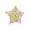 Yellow, variant on Star-Shaped Foraging Bird Toy with Rotating Maze & Colorful Beads, Interactive Boredom Breaker Cage Accessory for Parakeets, Lovebirds, and Cockatiels, 3.15-inch
