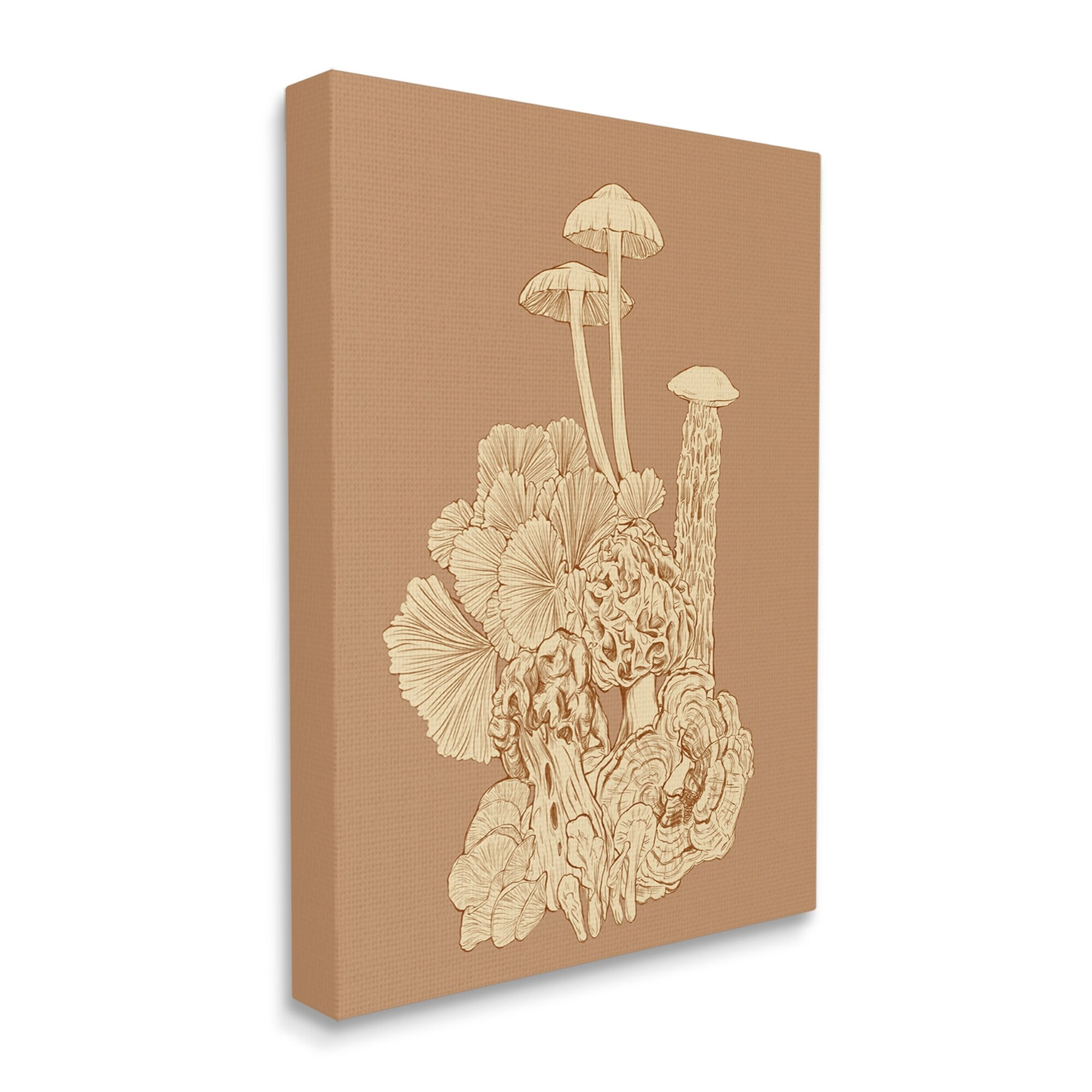 Stupell Industries Detailed Mushrooms Forest Flora Nature Plants Arrangement Graphic Art Gallery Wrapped Canvas Print Wall Art, Design by Ziwei Li
