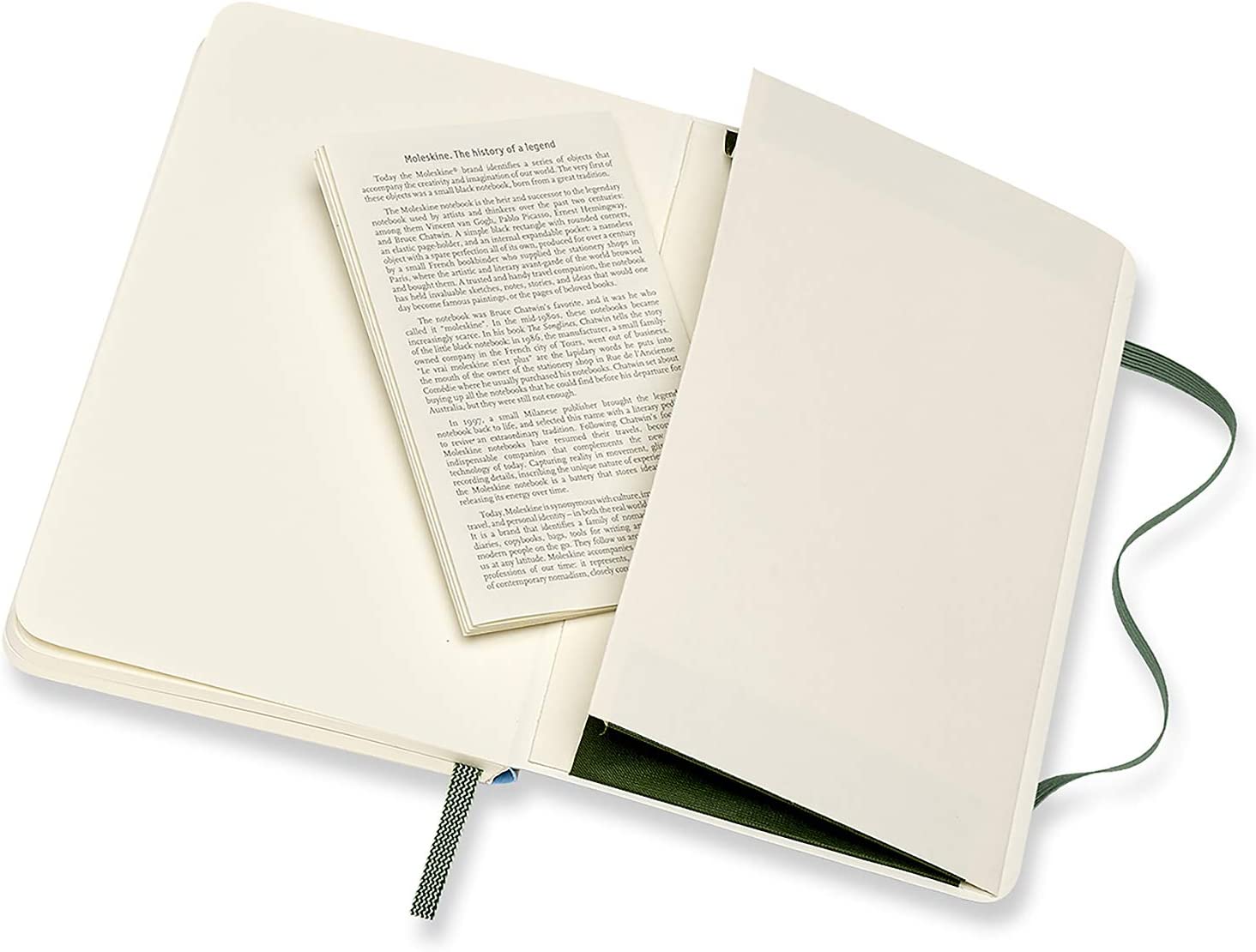 Moleskine Classic Collection Plain Writing Notebook, 3.5" x 5.5", Myrtle Green