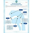 thumbnail image 6 of Bidaya Textbook سلسلة بداية - كتاب التلميذ, 6 of 15