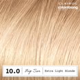 thumbnail image 3 of Tinte para el cabello Clairol ColorStrong Permanent Zero Ammonia 10.0 Blonde, 3 of 9