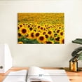 thumbnail image 3 of Elephant Stock Endless Sunflower Field Wall Art - Horizontal Canvas Wall Art - Living Room Wall Decor - Nature Canvas - Gold And Green Decor - 12" x 8", 3 of 8
