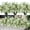 White, variant on RECUTMS 8 Bundles Artificial Greenery Stems Fake Lucky Bamboo Leaves Faux Outdoor Plants UV Resistant Plastic Shrubs for Window Farmhouse Pathway Indoor Decorations (White)