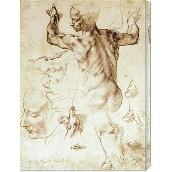 Michelangelo 'Anatomy Sketches (Libyan Sibyl)' Stretched Canvas