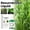 indoor plants, variant on Moonspry Resurrection Liquid Plant Nutrient, 50Ml Plant Growth Enhancer Supplement With Professional Scientific Formula, For Indoor Outdoor Plants, Houseplants, Garden Plants