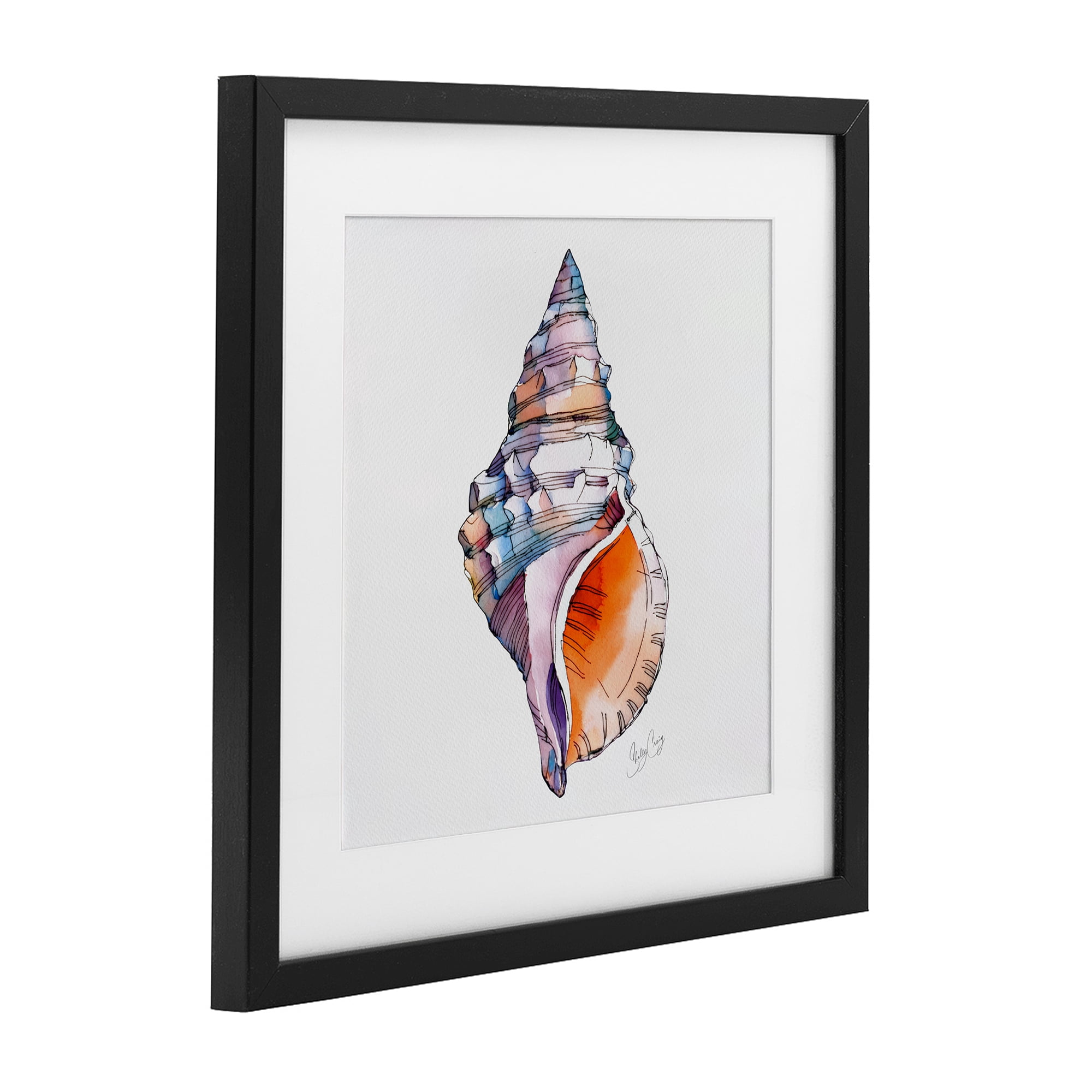 Stupell Industries Sunrise Conch Shell Black Framed Print Under Glass, design by Shelly Craig
