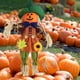 thumbnail image 3 of Decoración de Halloween YOUSIM espantapájaros 60 cm, 3 of 3